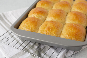 Homemade Sour Dough Rolls in Pan on Cooling Rack