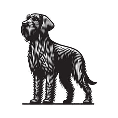 German Wirehaired Pointer. Deutscher Drahthaariger. Vorstehhund. Deutsch Drahthaar. Hunting dog. Vintage retro engraving illustration. Black icon, logo, label. isolated element.