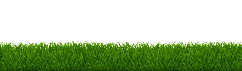 Fototapeta premium Grass Border Isolated White Background
