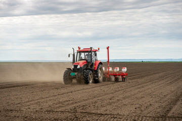 Fototapeta premium Sowing crops at agricultural fields in spring