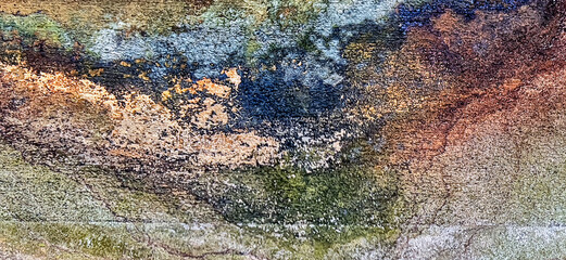 Abstract background moss and old paint