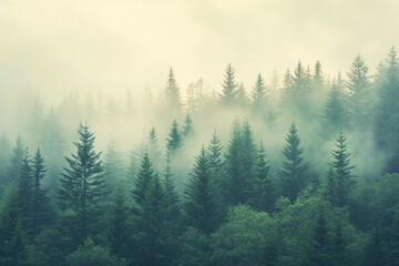 Foggy landscape with fir forest in retro vintage hipster style, nature concept