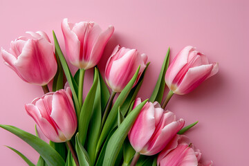 Bouquet of pink tulips on a pink background. Valentine's Day, Birthday