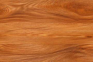 Fototapeta premium Photo of oak tree texture