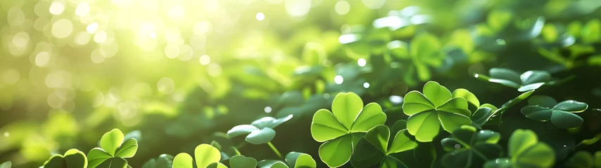 Tuinposter happy new year banner with four-leaf clover as a lucky charm on blurred background  © Reiskuchen