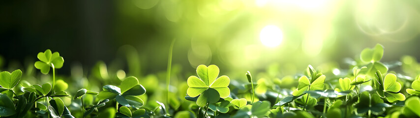 happy new year banner with four-leaf clover as a lucky charm on blurred background	