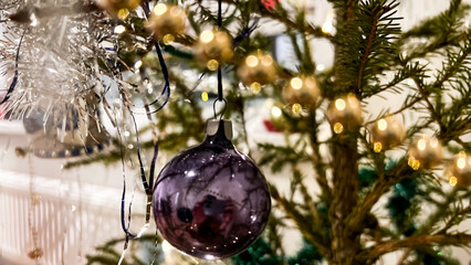 Dark purple vintage glass bauble hanging on green fir tree at home. Retro style ornaments on...