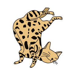 Hand drawn yellow cat with brown dots in a sleeping position on a white background