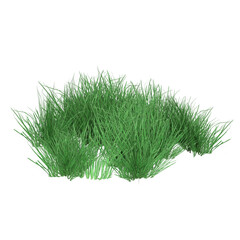 3d render green grass path isolated