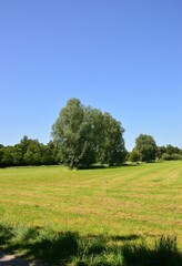eine wunderschöne Sommerlandschaft am Niederrhein