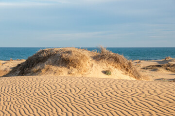 Vega Baja del Segura - Guardamar del Segura - El precioso paisaje de las dunas de Guardamar del Segura