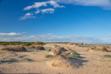 Vega Baja del Segura - Guardamar del Segura - El precioso paisaje de las dunas de Guardamar del Segura