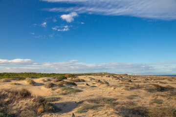 Fototapeta na wymiar Vega Baja del Segura - Guardamar del Segura - El precioso paisaje de las dunas de Guardamar del Segura