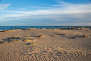 Fototapeta na wymiar Vega Baja del Segura - Guardamar del Segura - El precioso paisaje de las dunas de Guardamar del Segura