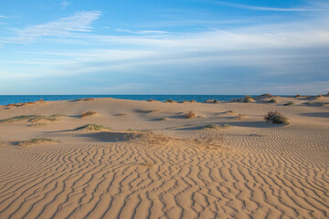 Vega Baja del Segura - Guardamar del Segura - El precioso paisaje de las dunas de Guardamar del Segura