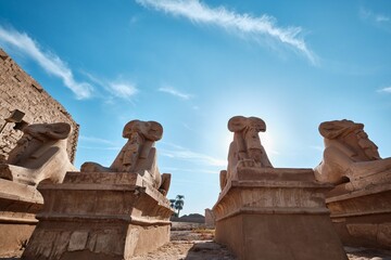 Luxor, Egypt - December 26 2023: Karnak Temple sphinxes alley, The ruins of the temple