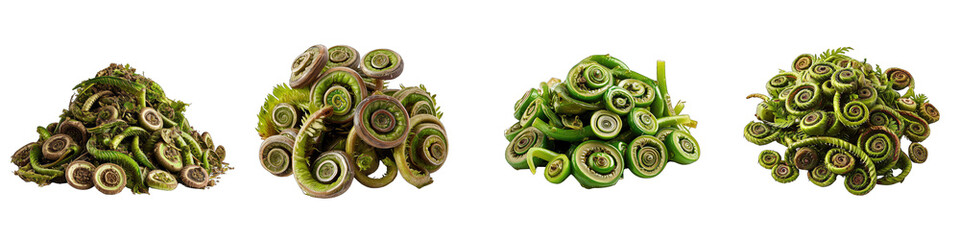 Fiddleheads Vegetables Pile Of Heap Of Piled Up Together Hyperrealistic Highly Detailed Isolated On Transparent Background Png File