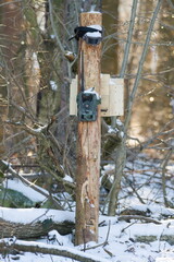 Camera trap near to high seat for hunters and gamekeepers in the forest. Czech republic nature.