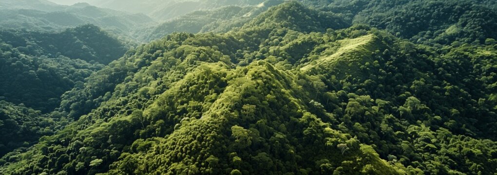 A bird's-eye view of a mountain forest with rolling hills covered in dense greenery.