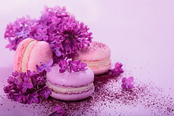 Fototapeta na wymiar Pastel colored sweet french macaroons with lilac flowers and splash of dry blueberry powder on pink background. Beautiful composition for bakery and pastry shop