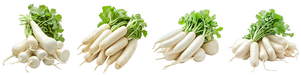  Daikon radish Vegetables Pile Of Heap Of Piled Up Together Hyperrealistic Highly Detailed Isolated On Transparent Background Png File