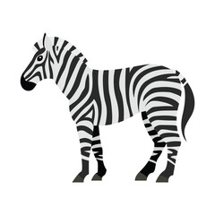 Zebra animal horse vector striped