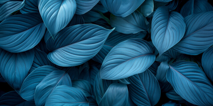 Wet Fresh tropical blue leaves texture background © Jasper W