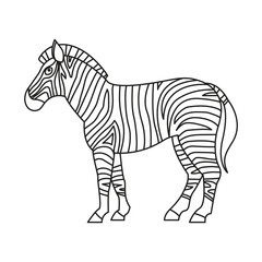 Fototapeta na wymiar Zebra animal horse vector striped