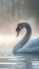 Gartenposter a swan is swimming in the water on a foggy day © KWY