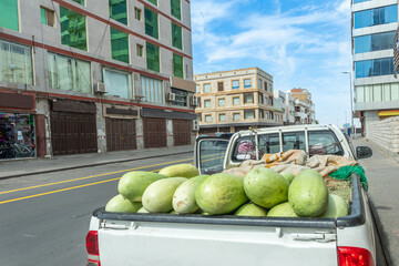 Pickup car full of watermelons on the street of Jeddah downtown central district, Saudi Arabia