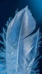 a close up of a feather on a blue background