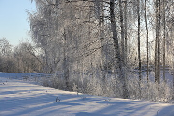 Obraz premium The northern winter nature