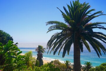 view through palms and exotic plans towards the Playa Los Alemanes, Atlanterra, Faro de Camarinal, Costa de la Luz, Atlanterra, Andalusia, Spain