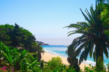 view through palms and exotic plans towards the Playa Los Alemanes, Atlanterra, Faro de Camarinal, Costa de la Luz, Atlanterra, Andalusia, Spain