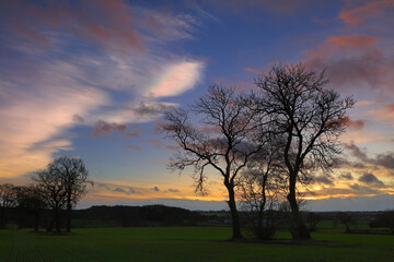 Cloudscape with rare Nacreous clouds at sunset near Ferryhill, County Durham England, UK.