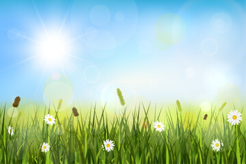 Spring background with sunshine, blurry lights, meadow and wild flowers