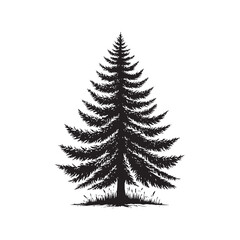 Whispering Pines Vignette: Pine Tree Silhouette Ensemble Whispering Stories in the Nature's Silhouetted Vignette - Pine Tree Illustration - Nature Vector
