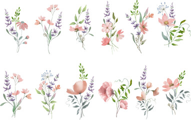 Floral watercolor set. Hand drawn illustration isolated on  a transparent background. Vector EPS. - obrazy, fototapety, plakaty