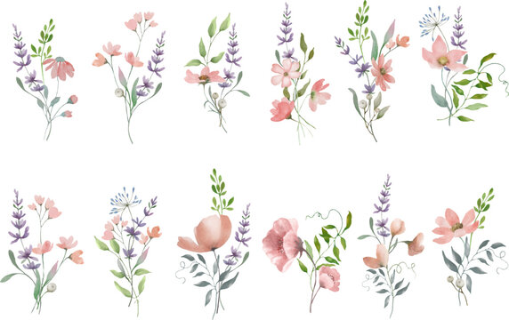 Floral watercolor set. Hand drawn illustration isolated on  a transparent background. Vector EPS.