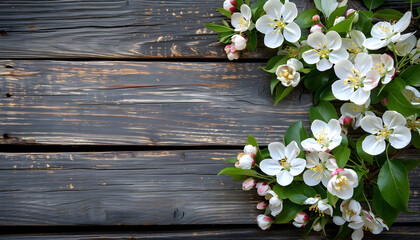 Spring apple blossoms flowering branch on wooden background