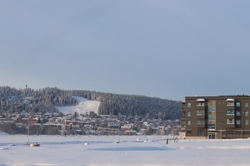 Fototapeta premium winter landscape in the city