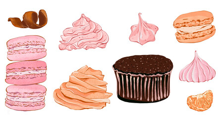 Set of cupcake with peach cream and meringue. Realistic style. Hand drawn illustration isolated on white background. Graphic element for pastry shops, menu