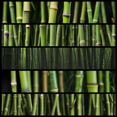 Bamboo workart picture