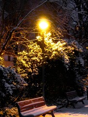 Lille, January 2024: Discover Lille, the capital of Flanders, under the snow. Quai du Wault tower under the snow in Lille