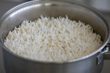 Cooked plain white basmati rice in selective focus. Species of Indian origin