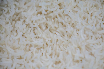 Cooked plain white basmati rice in selective focus. Species of Indian origin