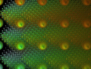 Imaginatory fractal abstract background Image