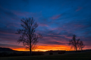 Fototapeta na wymiar colorful evening sky with winter trees