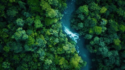 Obraz premium an aerial view of a river in the middle of a forest with a blue river running through the center of the forest, surrounded by lush green, leafy trees.