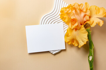 Mockups with postcard